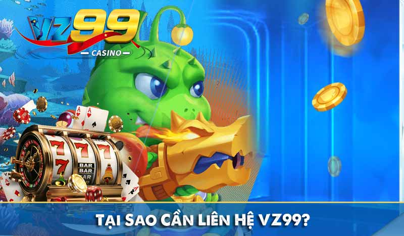 Liên Hệ Vz99 Tại Sao Cần Liên Hệ VZ99