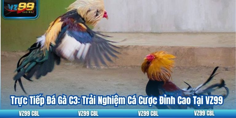 Trực Tiếp Đá Gà C3: Trải Nghiệm Cá Cược Đỉnh Cao Tại VZ99 Trực Tiếp Đá Gà C3: Trải Nghiệm Cá Cược Đỉnh Cao Tại VZ99